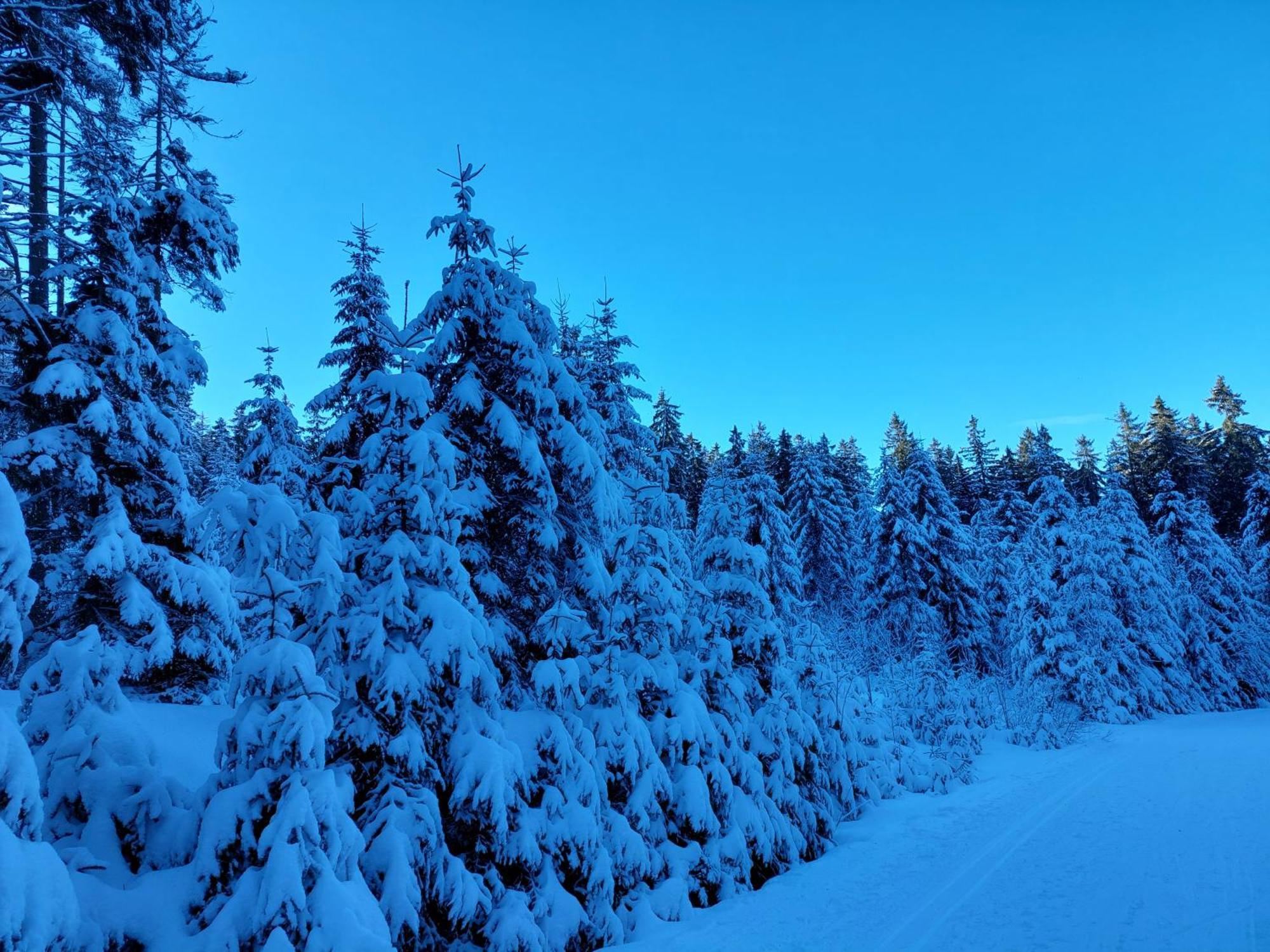 Ubytovani Na Lipne Černá v Pošumaví Exterior foto